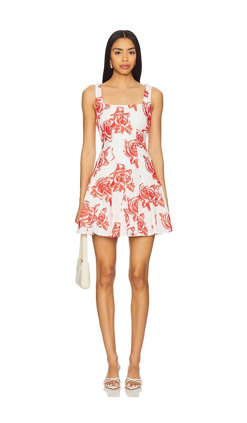 Ariel Rose Embroidery Mini Dress