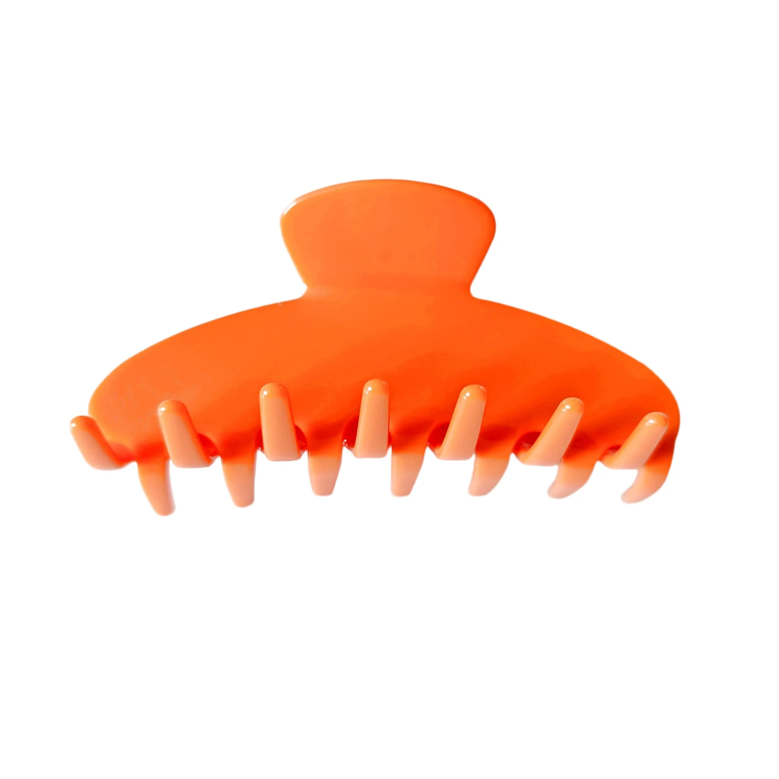 RPZL, Rpzl Acetate Claw Clips