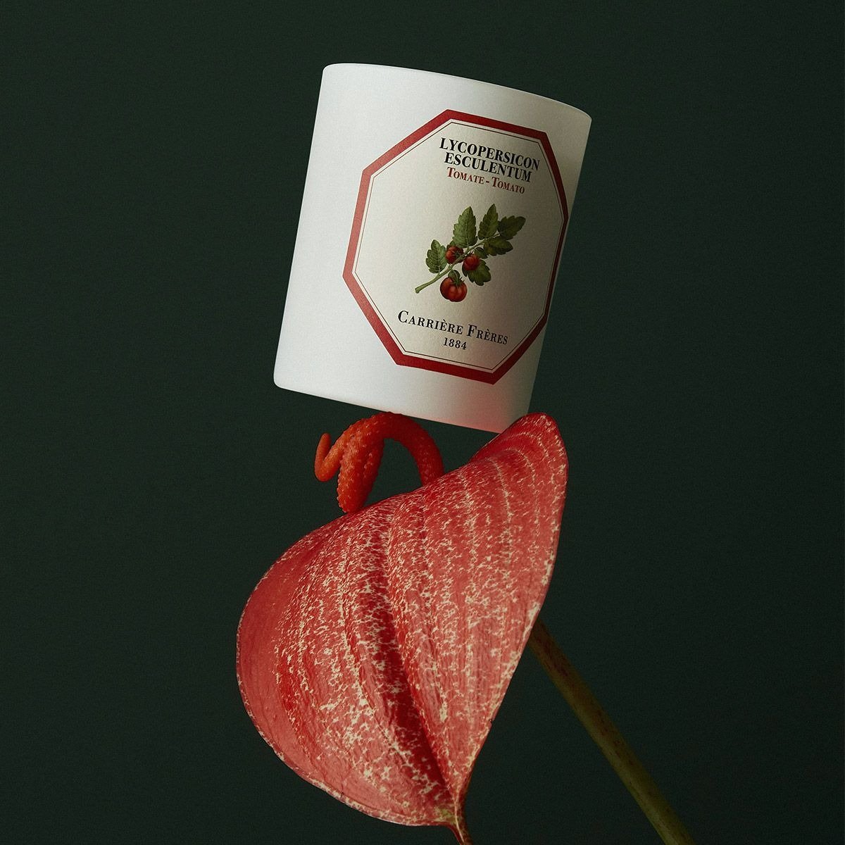carrierefreres, Tomato Candle